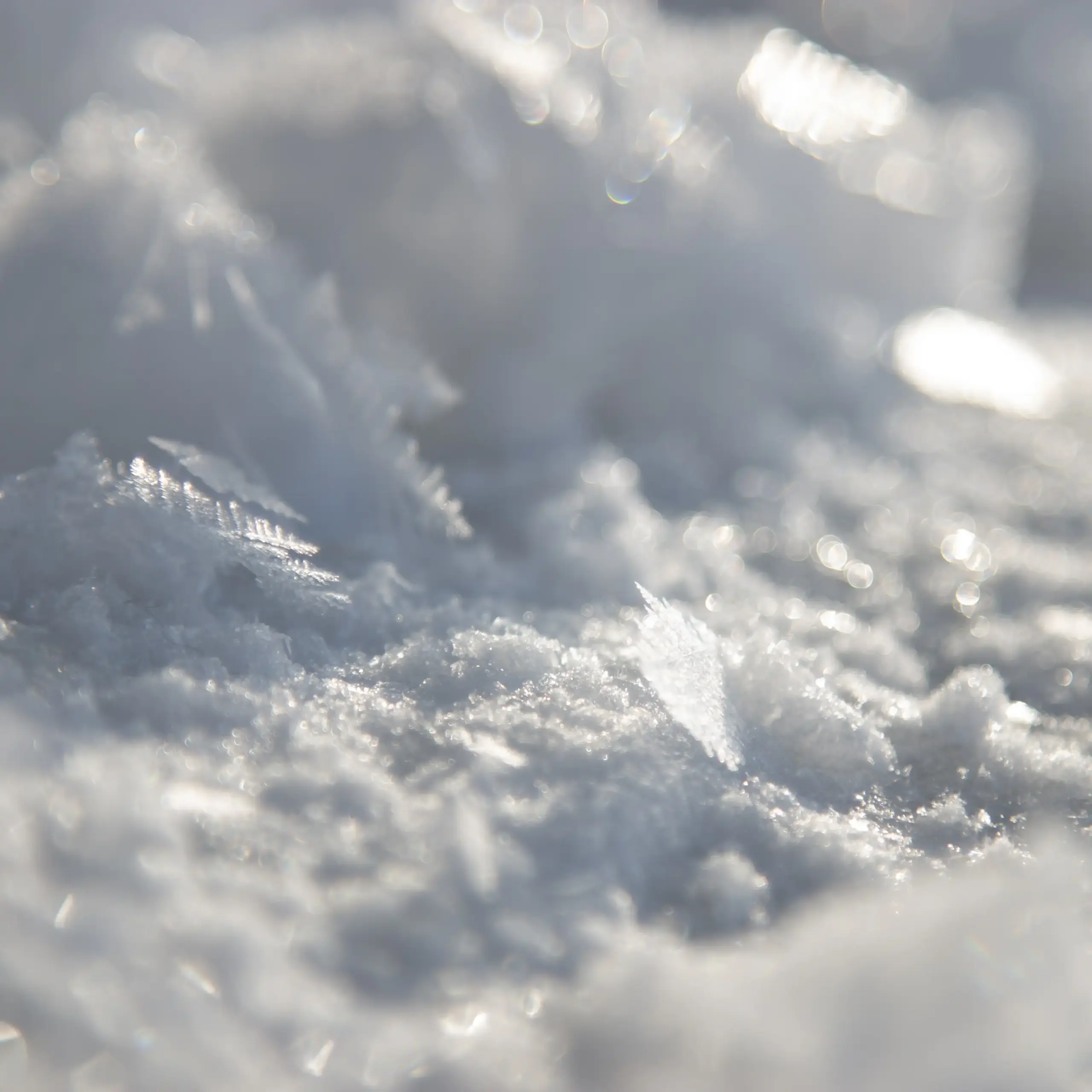 Crisis and Conflict Management: Why Taking a Break Matters